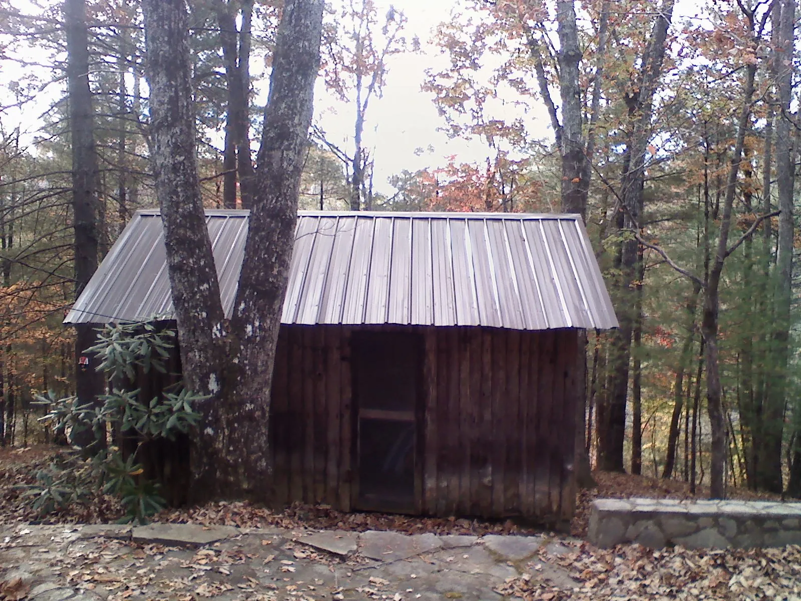 New metal gable roof on a small log shed among the trees in Manhasset